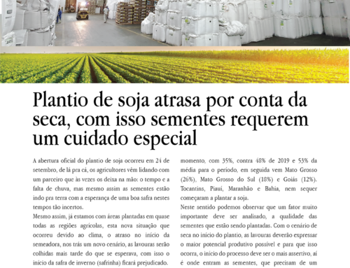Plantio de soja atrasa por conta da seca, com isso sementes requerem um cuidado especial