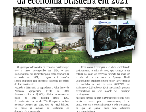 O agronegócio ditará a retomada da economia brasileira em 2021