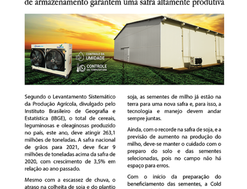 Beneficiamento de sementes aliado à tecnologia de armazenamento garantem uma safra altamente produtiva